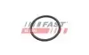 Автозапчасть FAST (FT49935) изображение 2
