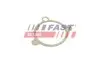 ПРОКЛАДКА КЛАПАНА EGR RENAULT TRAFIC 01> 2.5 dCi 135 03> FAST (FT50605) изображение 1