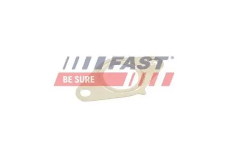 ПРОКЛАДКА КЛАПАНА EGR FIAT SCUDO / ULYSSE 95> 2.0 JTD FAST FT50616 Купити в Україні