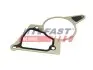 Прокладка насосу вакуумного Fiat Ducato/Peugeot Boxer/Ford Transit 2.2HDi/TDCi 06- FT50703