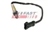 Лямбда зонд Renault Kangoo/Trafic/Laguna 1.6-2.0 16V 01 FAST (FT54113) зображення 1