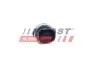 Автозапчасть FAST (FT54307) изображение 2