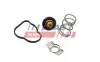 Термостат Renault Kangoo/Megane III/IV/Scenic III/IV 1.5dCi 09- (83°C) FAST (FT58042) зображення 1