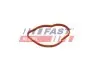 ПРОКЛАДКА ТЕРМОСТАТА RENAULT KANGOO 08> 1.5 DCI FAST (FT58305) зображення 1