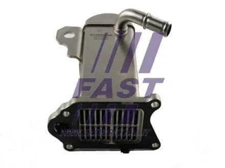 Клапан EGR FAST FT60421