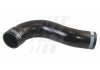 Патрубок інтеркулера Citroen Jumper/Peugeot Boxer 2.2HDi 06- - FAST FT61745 (1350777080, 0382KA, 1348770080)