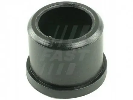 Втулка вилки зчеплення нижня Ø 24mm, h 19mm Fiat Bravo, Doblo, Punto 1.4 8v-1.6 16v 94-01 FAST FT62434 Купити в Україні