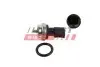 Датчик температуры воды Renault Master 10 2-Pin FAST (FT80129) изображение 1