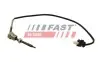ДАТЧИХ ТЕМПЕРАТУРЫ ВЫХЛОПНЫХ ГАЗОВ MERCEDES SPRINTER 06> 906 КЛАПАН EGR FAST (FT80264) зображення 1