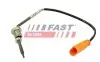ДАТЧИХ ТЕМПЕРАТУРЫ ВЫХЛОПНЫХ ГАЗОВ VW CRAFTER 06> КЛАПАН EGR ЧЕРНЫЙ FAST (FT80274) зображення 1