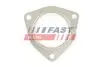 Прокладка глушника IVECO DAILY 00> DPF FAST (FT84593) зображення 1