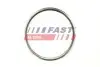 Прокладка труби вихлопної Fiat Ducato/Citroen Jumper/Peugeot Boxer 06 FAST (FT84594) зображення 1