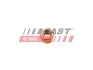 РЕМКОМПЛЕКТ ГЛУШИТЕЛЯ IVECO DAILY 06> ГАЙКА M8X1.25 SW12 88105 FAST (FT84702) изображение 1