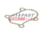 Прокладка труби вихлопної Citroen Jumper/Peugeot Boxer 2.8 HDi/Fiat Ducato 2.8 JTD 96-06 FAST (FT84803) зображення 1