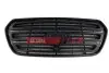 Фото Решетка радиатора FORD TRANSIT 13> СРЕДА FAST (FT91654) изображение 1