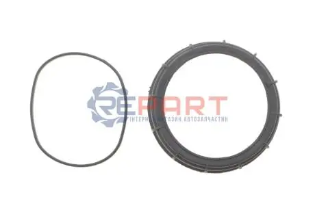 ГАЙКА RENAULT MASTER 10> БАК ПАЛИВНИЙ FAST FT94649 Купити в Україні