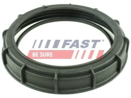 Фото ГАЙКА RENAULT KANGOO 08> БАК ТОПЛИВНЫЙ FAST (FT94650) зображення 1