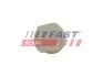 ЗАЩЕЛКА МОЛДИНГА IVECO DAILY 06> FAST (FT96601) изображение 2
