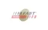 ЗАЩЕЛКА МОЛДИНГА MERCEDES SPRINTER 06> 906 FAST (FT96606) изображение 1