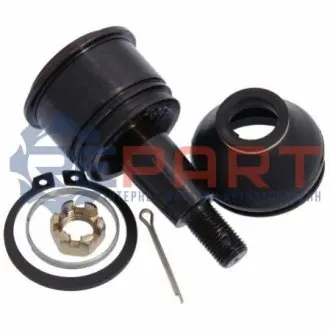 Опора кульова (передня/знизу) Honda Accord VII 03-08 FEBEST 0320CL7D Купити в Україні