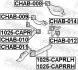 FEBEST (1025CAPRRH) изображение 2