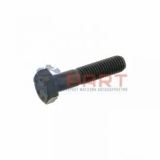 Болт кріплення опори кульової VW Caddy II 95-04 FEBI BILSTEIN 03973 Купити в Україні