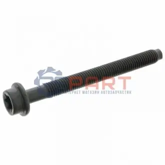 Болт головки цилидра Febi Bilstein 05541 Купить в Украине