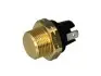 Термовимикач вентилятора AUDI 100 C2, 50, 80 B1 VW GOLF I, PASSAT B1, POLO 0.8-2.1 05.72-02.84 Febi Bilstein (06031) зображення 1