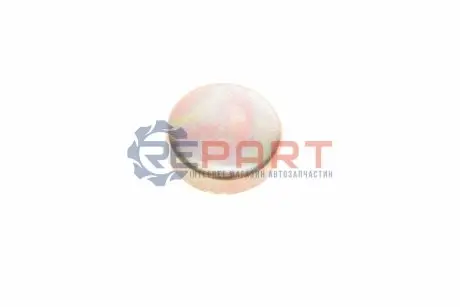 Фото Заглушка блоку циліндрів BMW 3 (E36) 90-98 (d=36mm) FEBI BILSTEIN (07294) зображення 1