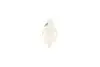 Фото Паливний фільтр MERCEDES 123 (C123), 123 T-MODEL (S123), 123 (W123), 124 T-MODEL (S124), 124 (W124), 190 (W201), E T-MODEL (S124), E (W124), G (W460), G (W461), G (W463) 2.0D-6.0D 01.76 Febi Bilstein (08698) зображення 3