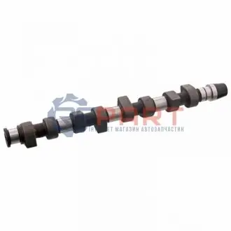 Розподільчий вал AUDI 80 B4, A4 B5, A6 C4, A6 C5, CABRIOLET B3 FORD GALAXY I, GALAXY MK I SEAT ALHAMBRA, CORDOBA, CORDOBA VARIO, IBIZA II, TOLEDO I VW CADDY II 1.9D/1.9DH 08.91-03.10 Febi Bilstein 10009 Купити в Україні