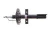 Амортизатор (передній) Renault Clio III 05- (Gas) Febi Bilstein (1002361) зображення 1