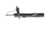 Амортизатор (передній) Ford Kuga 08- (L) Febi Bilstein (1002531) зображення 5