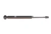 FEBI амортизатор газовий задній CHEVROLET AVEO 05/05- Febi Bilstein (1002874) зображення 4