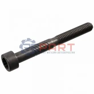 Фото 1 — Болт кришки розподільного валу VW Caddy/T5 1.9TDI (M6x54) FEBI BILSTEIN (100729) Фото Болт кришки розподільного валу VW Caddy/T5 1.9TDI (M6x54) FEBI BILSTEIN (100729) зображення 1