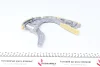 Фото Комплект приводу масляного насоса AUDI A5, A6 ALLROAD C6, A6 C6, A8 D3, Q7, R8, R8 SPYDER VW TOUAREG 4.2/5.0/5.2 03.06-07.15 Febi Bilstein (101881) зображення 4