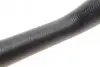 Фото Шланг водяной Febi Bilstein (102483) изображение 2