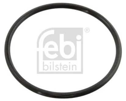Прокладка, термостат Febi Bilstein 10258