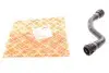 Фото Патрубок радіатора BMW X5 (E53) 00-06 M54 Febi Bilstein (102850) зображення 1