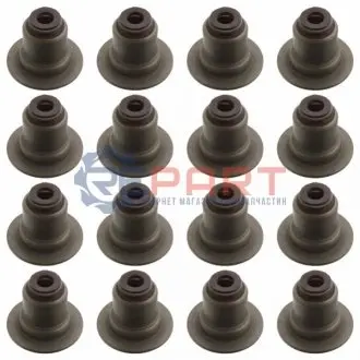 Комплект сальників клапана (5 x 22,6 x 18) BMW 1 (F20), 1 (F21), 3 (F30, F80) MINI (R56), (R57), (R58), (R59), CLUBMAN (R55), COUNTRYMAN (R60), PACEMAN (R61) 1.4/1.4LPG/1.6 09.06-06.19 Febi Bilstein 109697 Купити в Україні