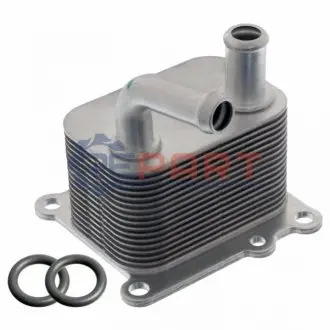 Фото Радіатор масляний Ford Transit Connect/Mondeo IV 1.8TDCi 02-15 (теплообмінник) FEBI BILSTEIN (170177) зображення 1