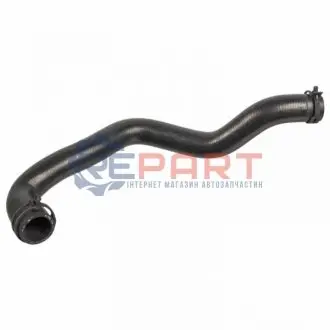 Патрубок радиатора (верхний) Ford Focus II 1.6 LPG 09-12/Fiesta 1.25-1.6 01-17 Febi Bilstein 171225