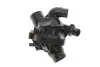 Фото Термостат BMW 3 (E90)/X5 (E70)/X6 (E71/E72) 3.0i (N55) 06-14 FEBI BILSTEIN (172624) зображення 4