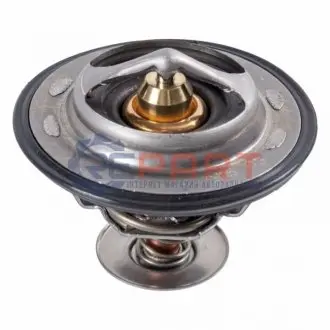 Фото Термостат, охолоджувальна рідина FEBI BILSTEIN (172714) зображення 1