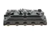 Кришка клапанів NISSAN INTERSTAR, PRIMASTAR OPEL MOVANO A, VIVARO A RENAULT AVANTIME, ESPACE IV, LAGUNA II, MASTER II, TRAFIC II, VEL SATIS 2.2D/2.5D 09.00 Febi Bilstein (174156) зображення 8