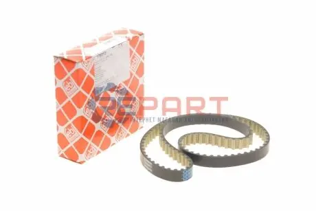 Фото 1 — Ремінь ГРМ Ford Transit Custom 2.0EcoBlue 15- (16x981x103z) FEBI BILSTEIN (178013) Фото Ремінь ГРМ Ford Transit Custom 2.0EcoBlue 15- (16x981x103z) FEBI BILSTEIN (178013) зображення 1