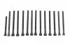 Фото Комплект болтів ГБЦ BMW 1 (E81), 1 (E82), 1 (E87), 1 (E88), 3 (E90), 3 (E91), 3 (E92), 3 (E93), 5 (E60), 5 (E61), 5 (F10), 5 (F11), 6 (E63), 6 (E64), 7 (E65, E66, E67), 7 (F01 2.5/3.0 09.04-06.15 Febi Bilstein (178284) зображення 1