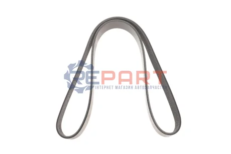 Пасок велоклиновий Febi Bilstein 179891 Купити в Україні