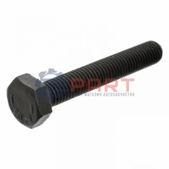 Болт коленвала VW Golf/ Jetta/ Passat/ Polo (M10) Febi Bilstein 18160