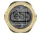 Фото Датчик давления масла BMW X5 (E70)/X6 (E71/E72) 07- Febi Bilstein (182656) изображение 2